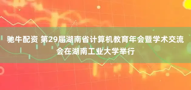 驰牛配资 第29届湖南省计算机教育年会暨学术交流会在湖南工业大学举行